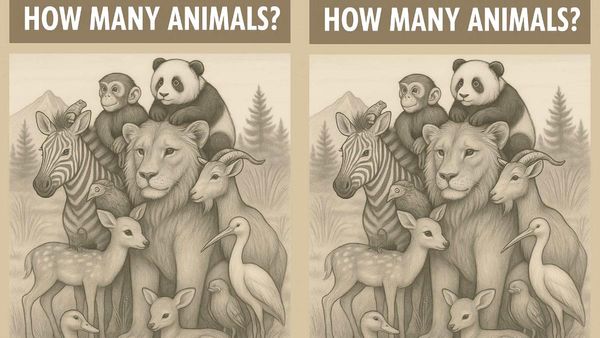 உங்க ஐக்யூ திறனுக்கு சேலஞ்ச்.. படத்தில் எத்தனை விலங்குகள் உள்ளன? 7 செகண்டில் கண்டுபிடிங்க