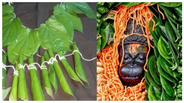 ஆஞ்சநேயருக்கு வெற்றிலை மாலை அணிவிப்பது ஏன் தெரியுமா? வெற்றி தரும் வெற்றிலையில் இது ரொம்ப முக்கியம்