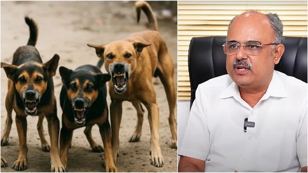 மூளையை தின்னும் ரேபிஸ் வைரஸ்! நீயா நானாவில் பங்கேற்ற மருத்துவர் தெரு நாய்கள் குறித்து சிறப்பு பேட்டி