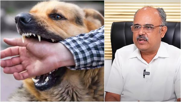 ரேபிஸ் மரணம் எப்படி இருக்கும்? நாயை போலவே மாறும் நோயாளிகள்.. எச்சரிக்கும் மருத்துவர்