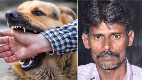 சென்னை திருவல்லிக்கேணி மார்க்கெட்டில் இருந்த எமன்.. உயிரை பறித்த ரேபிஸ்! இதுக்கு என்டே கிடையாதா?