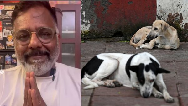 தெருநாய் டிபேட்டால் படவா கோபியை ட்ரோல் செய்கிறீர்களே! அவரது மறுபக்கம் தெரியுமா? அந்த மனசுதான்!