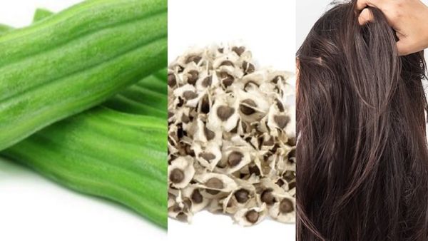 முருங்கை விதை எண்ணெய்.. சரும ஆரோக்கியம், தலைமுடி வளர்ச்சிக்கு முருங்கைக்காய் எண்ணெய்யின் மருத்துவம்