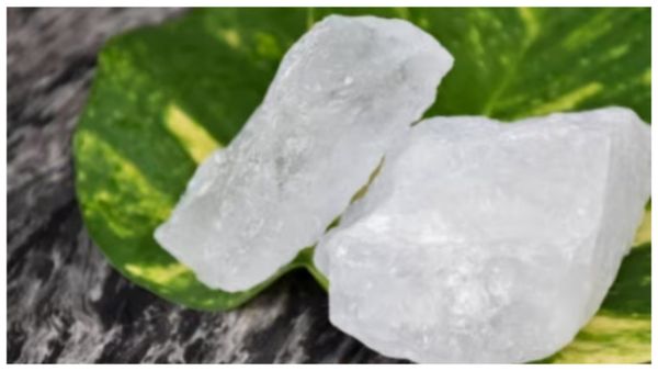 குளியலறையில் இதை மட்டும் வெச்சு பாருங்க.. வீட்டில் பணப்பிரச்சனை வரவே வராது! கழிப்பறை வாஸ்து பரிகாரம்