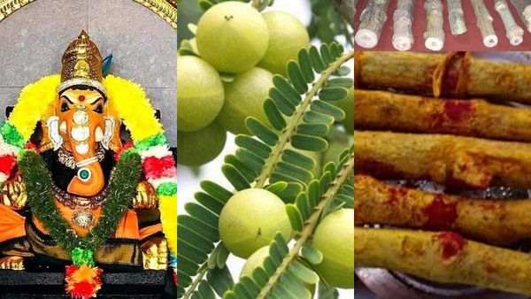 வீட்டில் உள்ள கஷ்டங்கள் தீர பெஸ்ட் வாஸ்து டிப்ஸ்! வெள்ளெருக்கன் கட்டையை நிலைவாசலில் எப்படி வைக்கலாம்