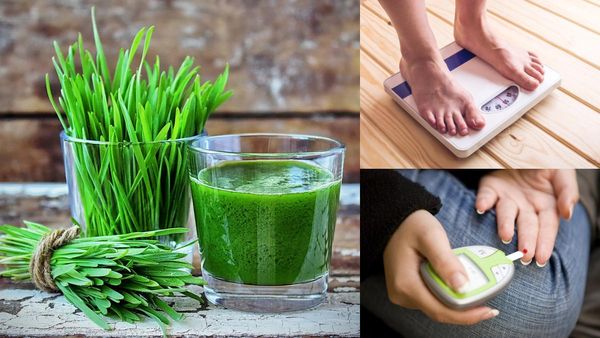 யானை முகத்தானின் அருகம்புல்! உடல் எடையை குறைத்து சர்க்கரை நோயை கட்டுப்படுத்துமாமே!