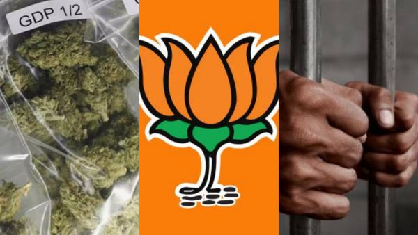 Vellore Ibrahim: 15 கிராம் கஞ்சா வைத்திருந்த.. பாஜக பிரமுகர் வேலூர் இப்ராஹிம் மகன் கைது! சென்னை போலீஸ் அதிரடி