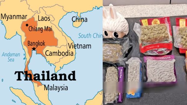 சுற்றுலா விசாவில் தாய்லாந்து விமானத்தில் சென்னை வந்த டூரிஸ்ட்.. அந்த சாப்பாடு பார்சலை பிரித்தால்?