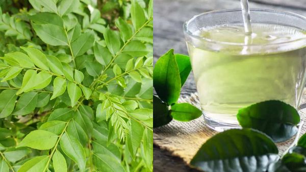 கறிவேப்பிலை தண்ணீர் குடிப்பதால் கிடைக்கும் 5 நன்மைகள்.. வெறும் வயிற்றில் குடித்தால் அதிசயம் பாருங்க