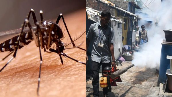 டெங்கு காய்ச்சல்.. சென்னையில் 5 பேருக்கு பாதிப்பு.. தடுப்பு நடவடிக்கைகளை தீவிரப்படுத்த கோரிக்கை