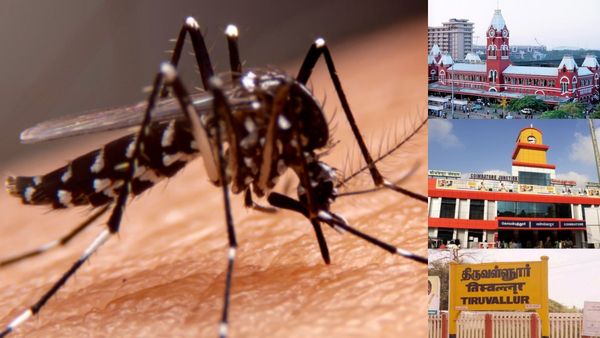 சென்னை - திருவள்ளூர் - கோவைக்கு ‛ரெட் அலர்ட்’.. வேகமெடுத்த டெங்கு காய்ச்சல்.. எச்சரித்த சுகாதாரத்துறை