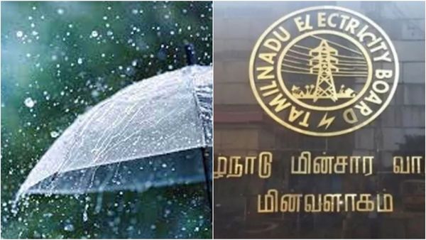 டிரான்ஸ்பார்மர்கள் அருகில் போகதீர்கள்.. கால்நடைகளை மின் கம்பங்களில் கட்டக்கூடாது.. மின்துறை அறிவுரை!