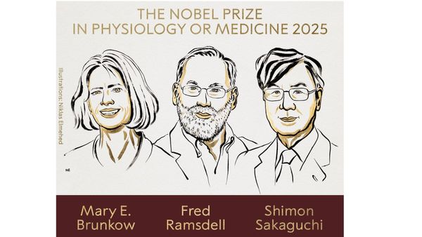 2025ம் ஆண்டு மருத்துவத்திற்கான.. நோபல் பரிசு 3 பேருக்கு பகிர்ந்து அளிக்கப்படுவதாக அறிவிப்பு!