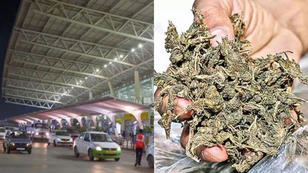 தாய்லாந்திலிருந்து சென்னை வந்த விமான பயணியிடம் ரூ 10 கோடி உயர் ரக கஞ்சா பறிமுதல்