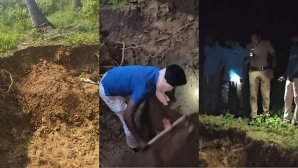 வாணியம்பாடியில் மண்ணில் டக்னு தோன்றிய பன்றி.. குங்குமம், மஞ்சளை பூசி.. வளையத்துள் திருப்பத்தூர் ராஜா