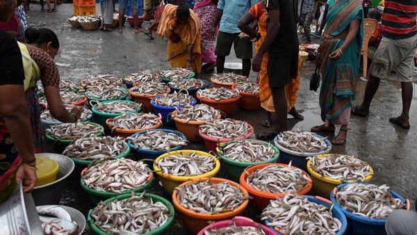 வஞ்சிரம் மீன் கெஞ்சுர மீன் ஆயிருச்சு! காசிமேடு காத்தடிக்குது! சட்டுனு வண்டிய எடுத்துட்டு போங்க சார்!