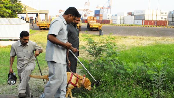 தமிழ்நாடு காவல்துறையில் வேலை.. ஒரு லட்சத்துக்கு மேல் சம்பளம்! தகுதிகள் என்ன? யார் விண்ணப்பிக்கலாம்?