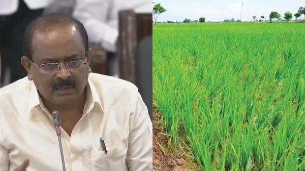 வரலாற்றுச் சாதனை! டெல்டா, டெல்டா அல்லாத மாவட்டங்களில் நெல் கொள்முதல் அதிகரிப்பு! அமைச்சர் பெருமிதம்