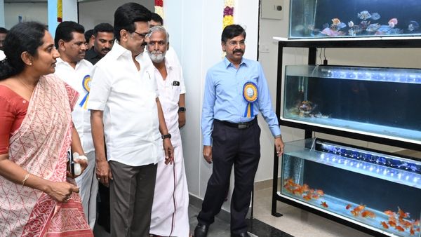 ஸ்டாலின் அடித்த சிக்சர்.. கொளத்தூருக்கே ஜாக்பாட்! கலர் கலராய் ஜொலிக்குது சிவசக்தி நகர்! சூப்பர்!