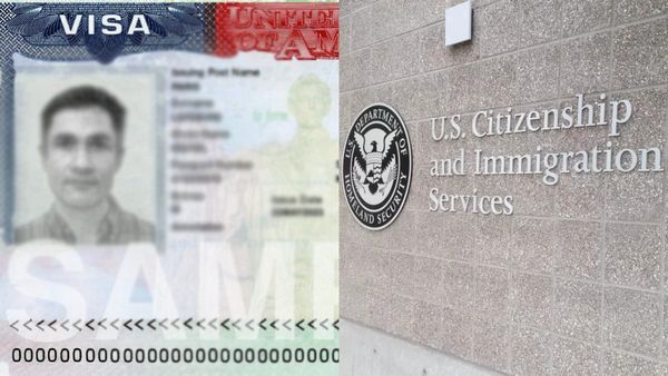 ஐடி ஊழியர்களுக்கு தான் பெரும் ஆப்பு.. விசாவால் வீதிக்கும் வரும் நிறுவனங்கள்! அதிரடி காட்டும் USCIS!