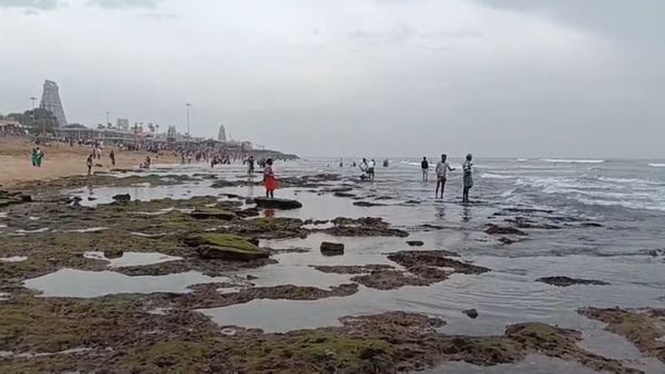 தீபாவளி அதுவுமா இப்படியா? திருச்செந்தூரில் திடுக்கிட்டுப் போன பக்தர்கள்! பச்சை பச்சையாய் பாறைகள்!