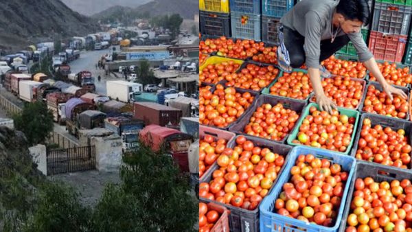 ஒரு கிலோ தக்காளி ரூ.600.. எல்லையை மூடி பாகிஸ்தானை கதறவிடும் ஆப்கானிஸ்தான்! அலறும் மக்கள்