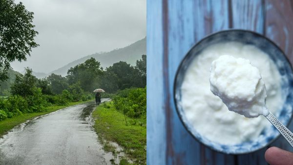 Curd: மழைக்காலத்தில் தயிர் சாப்பிடலாமா? உண்மையை தெரிந்து கொள்ளுங்கள்