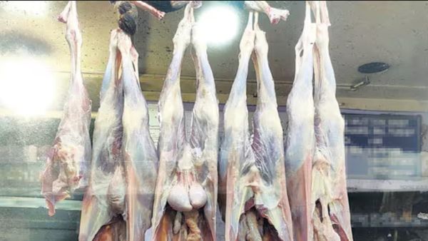 நூல் நூலா தொங்கிய மட்டன்.. நெல்லையில் பிரபல ஓட்டலில் பிரியாணியில் என்ன அது? ஆடிப்போன திருநெல்வேலி