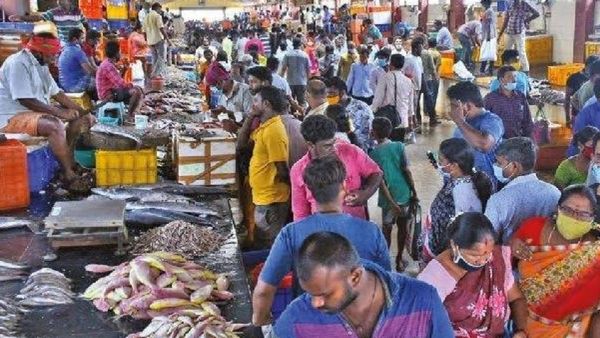 புரட்டாசி முடிந்ததும்! காசிமேடு மீன் மார்க்கெட்டில் வஞ்சிரத்தை வாஞ்சையோடு எடுக்கும் மக்கள்!
