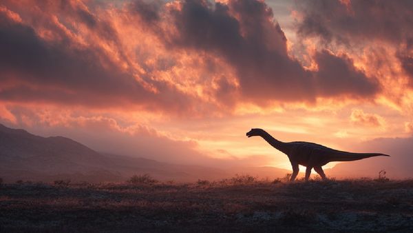 உலகில் முதலில் தோன்றிய விலங்கு டைனோசர் இல்லையாம்.. அப்போ வேறு எது? மிரள வைக்கும் ஆய்வு முடிவுகள்