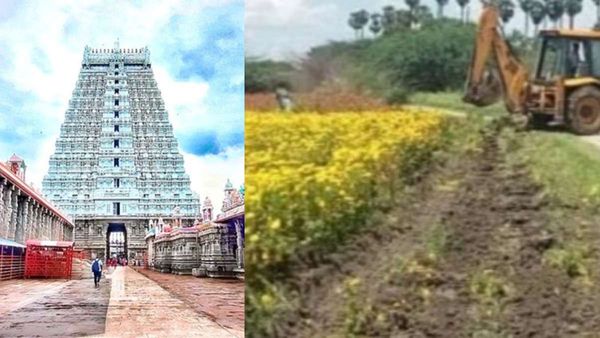 திருவண்ணாமலைக்கு விரைவில் ஹேப்பி? நீர் நிலைகளில் ஆக்கிரமிப்பு.. தமிழக அரசுக்கு ஹைகோர்ட் புது உத்தரவு