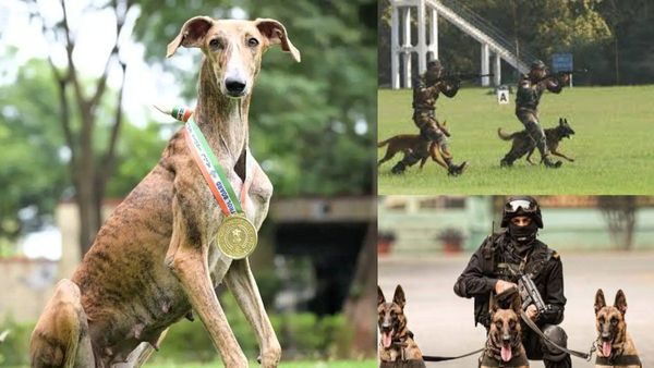 எதிர்பார்க்காத மூவ்.. BSF படையின் K9 Force பிரிவில் இணைக்கப்படும்.. இந்திய நாய் இனங்கள்.. அசத்தல்