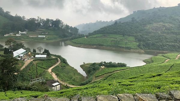 தேனி மேகமலையில் அரசு நிலம்... திண்டுக்கல் பெண்ணுக்கு பெரிய ஏமாற்றம்.. 3 வருடம் ஜெயில்