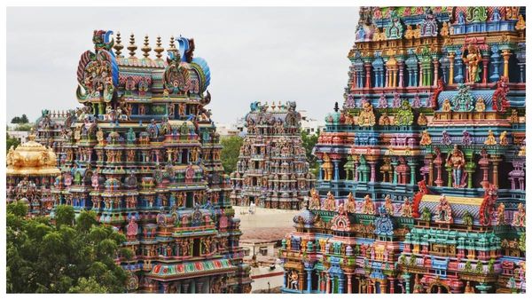 மஞ்சள் பை தவிர.. மதுரை மீனாட்சி அம்மன் கோயில் பிரசாதம் விலை ஒரேடியாக உயர்ந்தது! இனி ரூ.10 கிடைக்காது