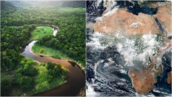 கார்பனை உறிஞ்சுவதற்கு பதிலாக.. டன் டன்னாக வெளியேற்றும் ஆப்பிரிக்க காடுகள்.. ஏன் இந்த திடீர் மாற்றம்