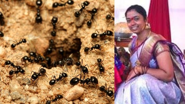 எறும்புக்கு பயந்து 25 வயது பெண் தற்கொலை.. உருக்கமான கடிதம்.. தவிக்கும் 3 வயது மகள் - கணவர்