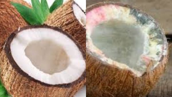 உடைத்த தேங்காய் நிறம் மாறாமல் இருக்க ஒரு சூப்பர் டிப்ஸ்! அப்படியே ஃபிரஷ்ஷாக இருக்கும்!