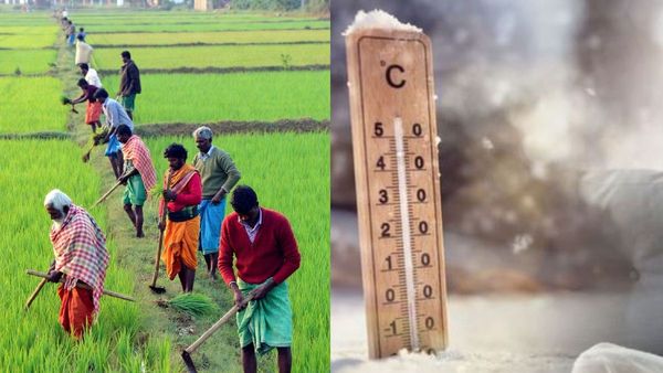 என்னங்க பெரிய ஊட்டி, கொடைக்கானல்! நெல்லை, தூத்துக்குடியில் 100 ஆண்டுகளில் இல்லாத குளிர்