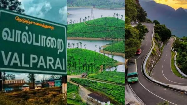 வீக் என்ட் வால்பாறை போறீங்களா? இன்று முதல் இபாஸ் கட்டாயம்! ஆழியார் செக்போஸ்ட்டீல் சோதனை