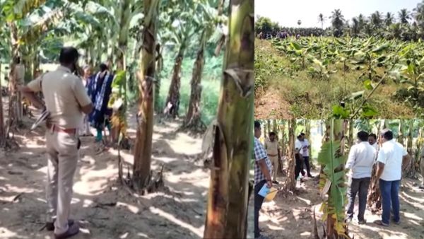 வாழைத்தோப்பில் 3 அடி குழியில்.. நிர்வாணமாக உட்கார்ந்தபடி புதைக்கப்பட்ட பெண்.. ஈரோட்டில் அதிர்ச்சி