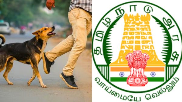 இந்த ஆண்டு இதுவரை 5.25 லட்சம் பேர் நாய் கடியால் பாதிப்பு.. ரேபிஸ் நோயால் 28 பலி - தமிழக சுகாதாரத்துறை