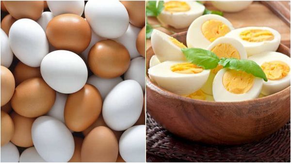 தமிழகத்தில் இதுவரை இல்லாத உச்சத்தில் முட்டை விலை.. இதற்கு என்ன காரணம்.. எப்போ தான் குறையும்?