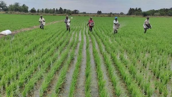 PM KISAN.. செங்கல்பட்டு விவசாயிகளுக்கு குட்நியூஸ்.. 15ம் தேதிக்குள் மிஸ் பண்ணிடாதீங்க