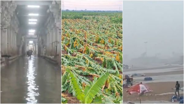 தென் மாவட்டங்களில் வெளுக்கும் கனமழை.. அடியோடு சாய்ந்த வாழைகள்.. திருச்செந்தூர் கோயிலுக்குள் மழைநீர்!