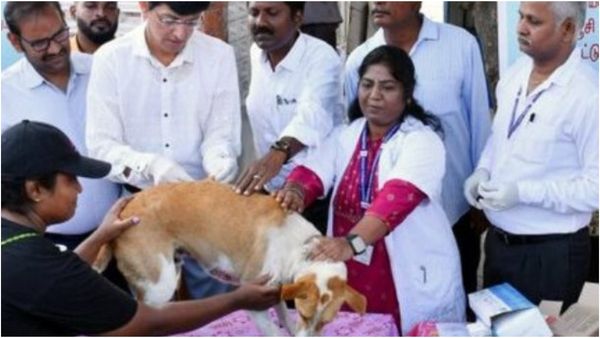 சென்னையில் நாய் வளர்ப்போர் கவனத்திற்கு.. ரூ.5000 அபராதம் கட்ட வேண்டாம்! இதை செய்யுங்க!