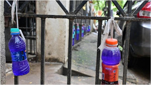 சென்னை வீடுகளில் திடீர் மாற்றம்! தெருநாய்க்களை தடுக்க புது யோசனை! ஒர்க்கவுட் ஆகாது மக்களே!