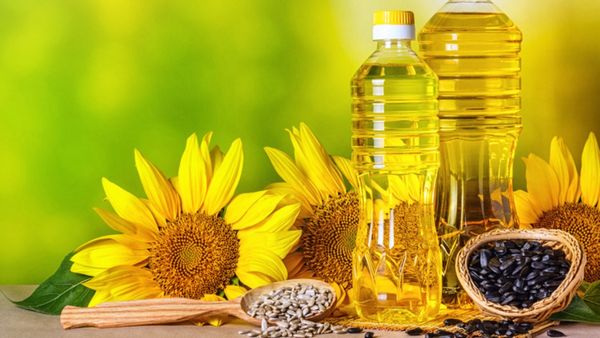 சைலண்டா.. உக்ரைனை ஓரம்கட்டி இந்தியாவில் தடம் பதித்த ரஷ்யா.. சூரியகாந்தி எண்ணெய் இறக்குமதியில் டாப்!