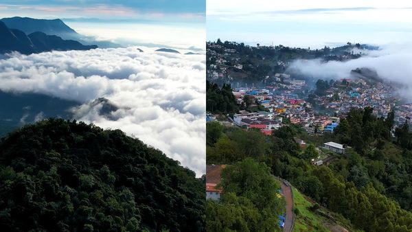 கொடைக்கானலில் இயற்கையை இப்படி பார்க்க தவமே இருக்க வேண்டும்.. சுற்றுலா பயணிகளுக்கு கிடைத்த தரிசனம்