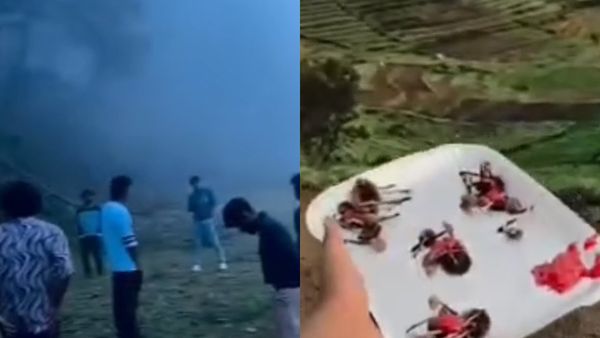 கொடைக்கானலில் போதை காளானில் தேன் மற்றும் ஜாம் கலந்து சாப்பிடும் சுற்றுலா பயணிகள்.. அதிர வைத்த வீடியோ