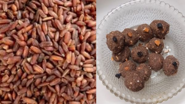 Mapillai Samba Laddu: மாப்பிள்ளை சம்பா அரிசியை வைத்து ஒரு சூப்பரான லட்டு செய்வது எப்படி?